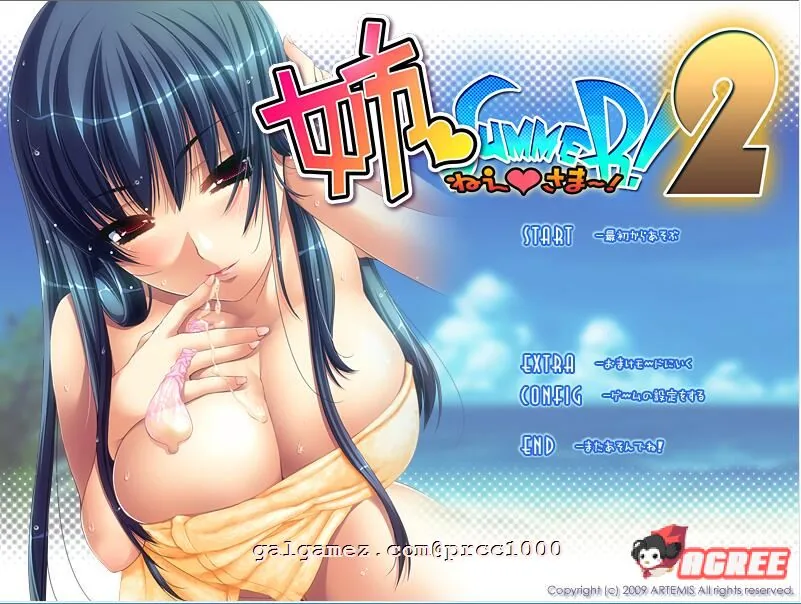 姐姐♥Summer-第二部 精翻汉化版+前作汉化+CG存档 [ADV/汉化/合集] 【全CV/2G】