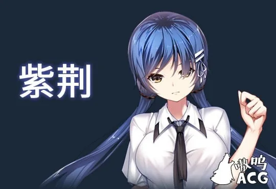 【SLG/中文/全动态】斗地主少女 Landlord Girls Steam官方中文步兵版 /附社保补丁【新作/全CV/2.4G】 畅玩游戏 预览第12张