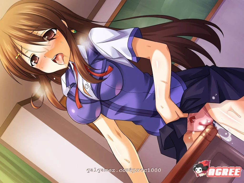【拔作ADV/汉化/恶堕】TS魔法少女闪:调教恶堕PLUS!精翻汉化版+全CG【新汉化/4G】 畅玩游戏 预览第9张-XACG动漫资源社——中文ACG动漫游戏社区 【拔作ADV/汉化/恶堕】TS魔法少女闪:调教恶堕PLUS!精翻汉化版+全CG【新汉化/4G】 畅玩游戏 预览第9张
