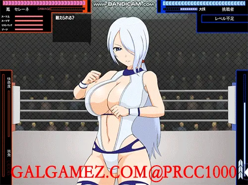 【ACT/SLG/汉化/合集】[jsk工房]迄今为止所有汉化游戏合集【全步兵/PC/安卓/5G/2020年11月】 畅玩游戏 预览第5张