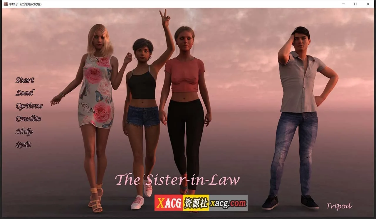 小姨子 V0.04.04a 精翻汉化版【欧美SLG/汉化/动态】{PC+安卓/2.2G}