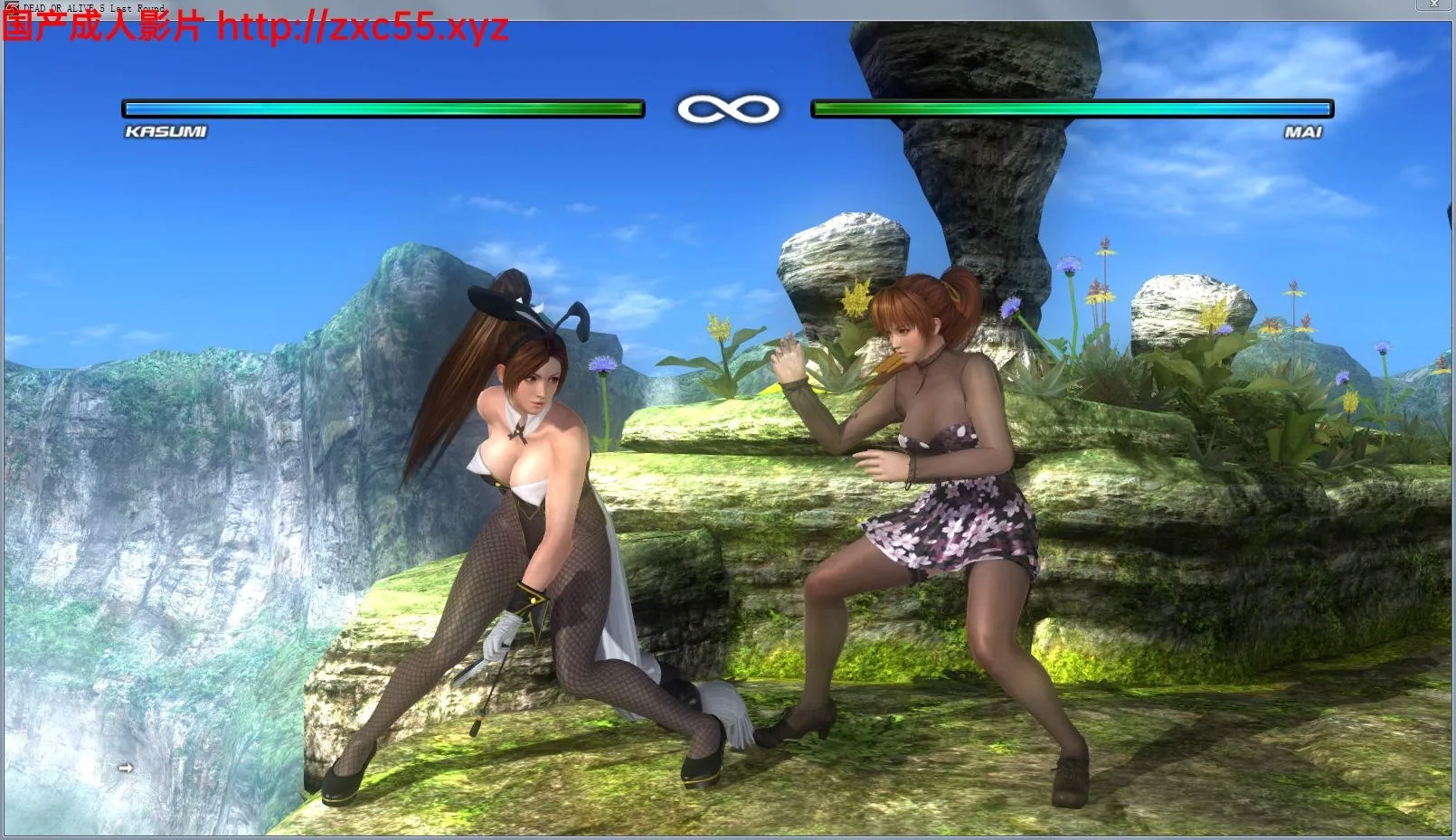 【3D/FTG】死或生5:最后一战 完全皇帝版+DLC+绅士魔改服装CG动画+原版终极整合【13G】 畅玩游戏 预览第2张-XACG动漫资源社——中文ACG动漫游戏社区