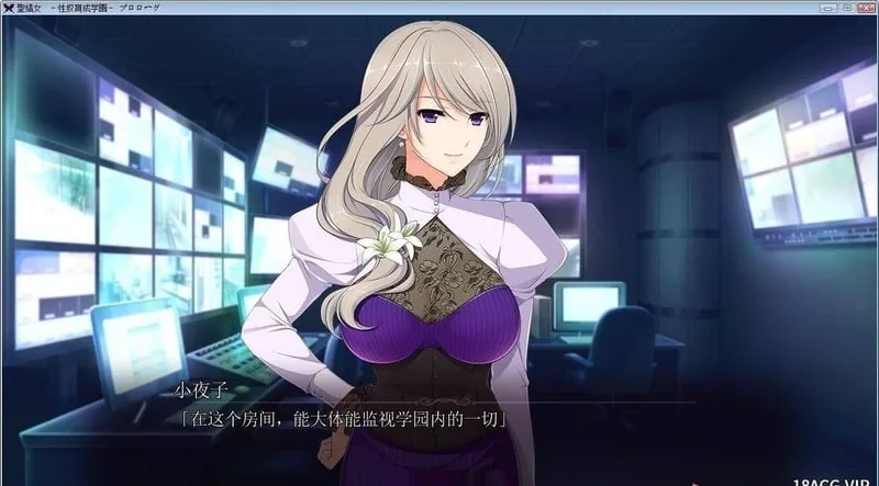 【ADV/汉化/动态】聖娼女～性奴育成学園～Ver1.0.1 汉化中文版+动画【4G】 畅玩游戏 预览第3张