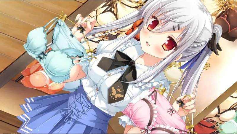 【汉化/后宫/巨乳】[HULOTTE] 新娘太好找了我很方！+存档【PC+安卓模拟器/4G】 畅玩游戏 预览第12张