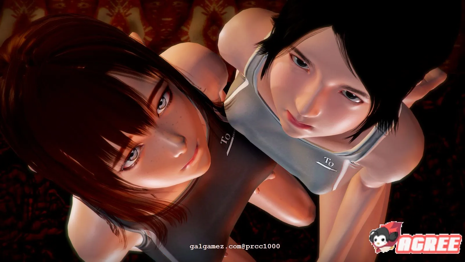 昏暗之声~Noise V0.40 官方中文完整版 步兵/RPG/大型 [NTR] {多空 4.7G}