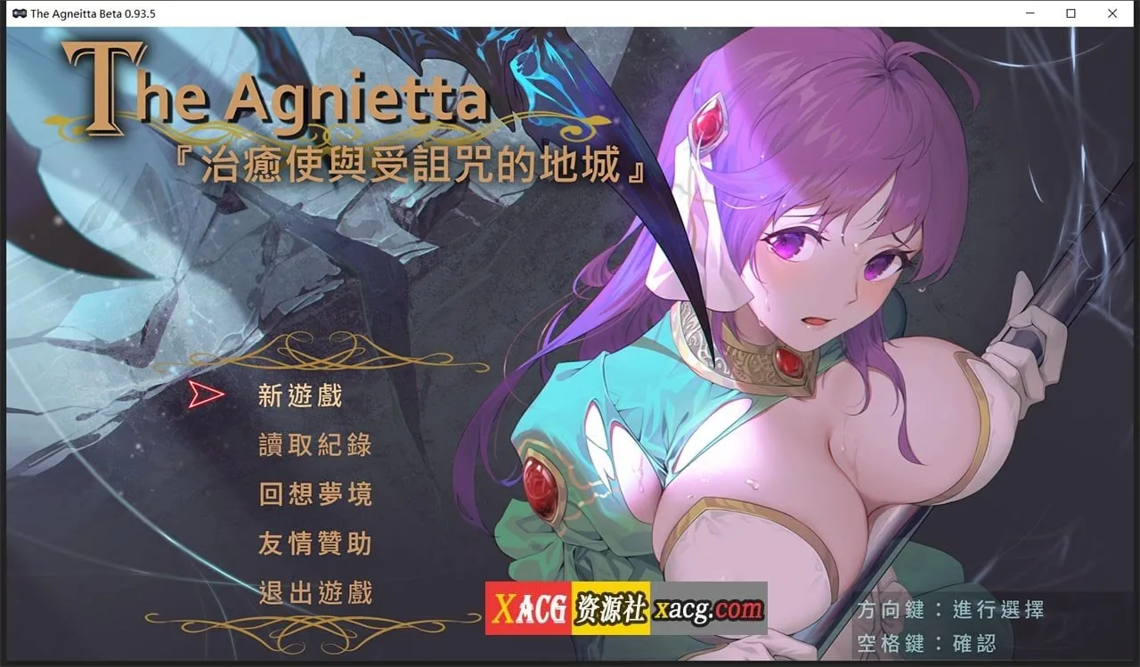 《The Agnietta 治愈使与受诅咒的地下城》游戏截图 1