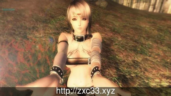 【3D/汉化/动态/整合】上古卷轴4:湮没 天际降临版〔16G/绅士MOD大整合+各类随从〕