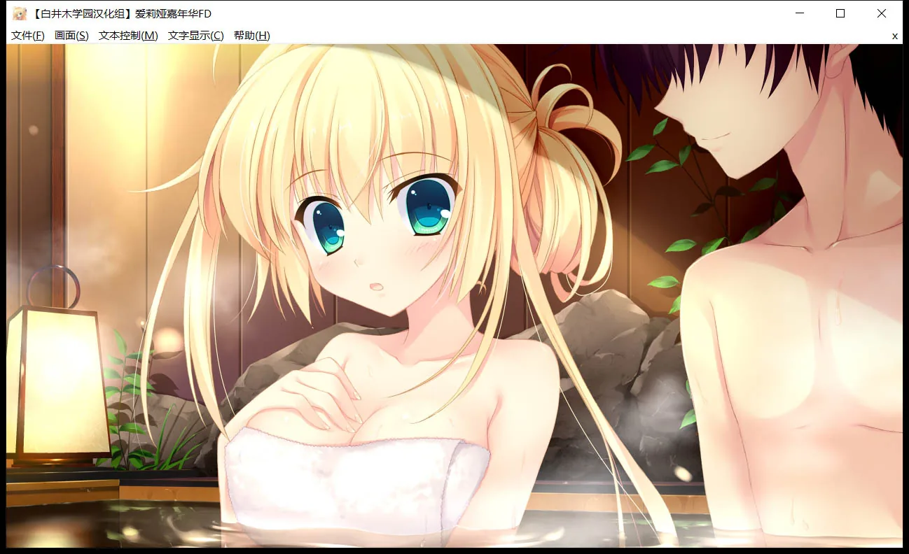 【大型ADV/汉化/全系列】爱莉娅嘉年华~本篇+FD 完整精翻汉化版【8.8G】 畅玩游戏 预览第11张