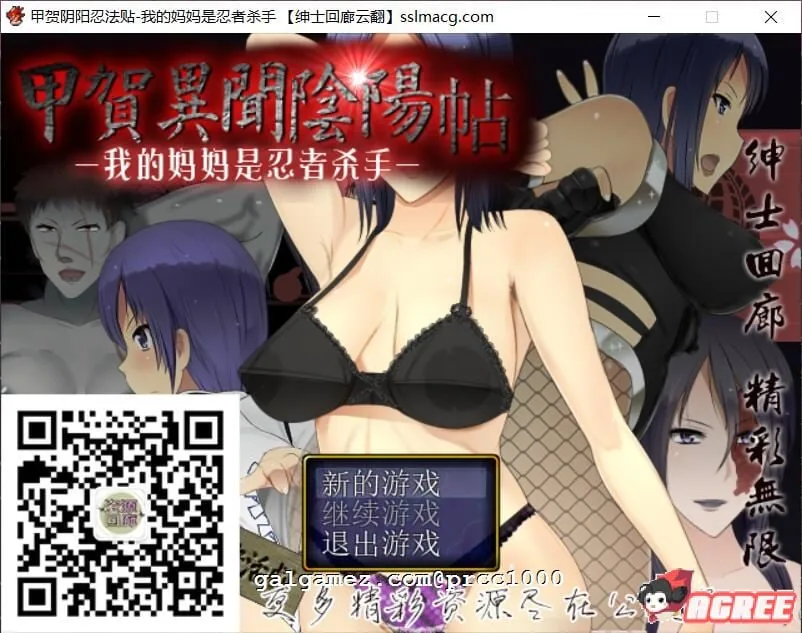 甲贺阴阳忍法帖：我的母亲是忍者杀手！汉化版【重抠RPG/神级开大车/800M】 (日语版/英文版)