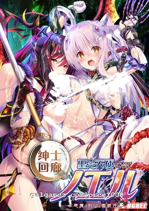 圣光天使诺艾尔·恶魔烙印与无限银狱 云翻汉化版 [拔作ADV/汉化] 〔2.48G〕