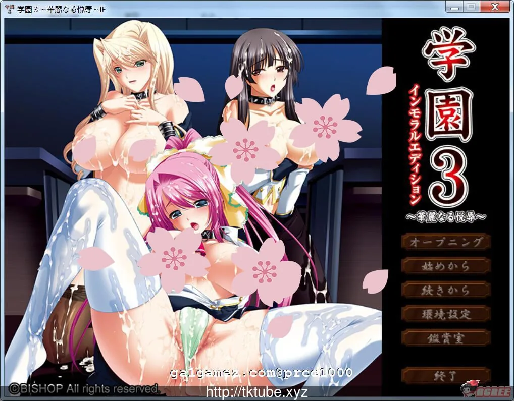 学园3~华丽的悦辱~好奇虎大佬个人汉化版【全CV/新汉化】{3G}〔大拔作ADV〕【汉化】