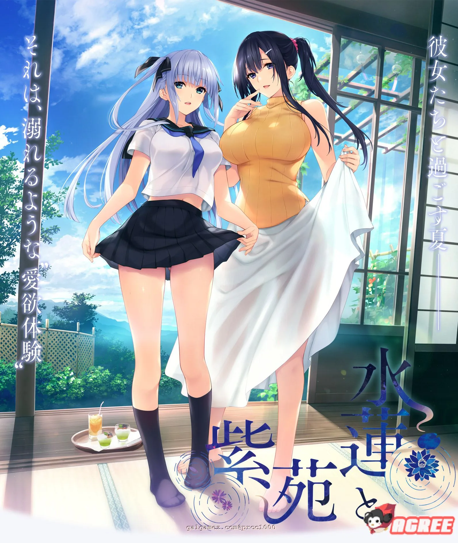 【佳作ADV/汉化】水莲 紫苑 [如月真绫制作组新作] 精翻汉化版+存档【3G/新汉化/全CV】 畅玩游戏 预览第2张