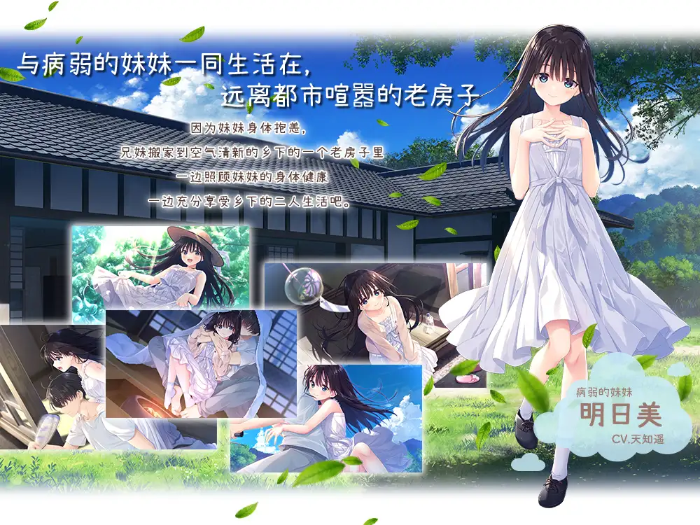 痴情哥哥与病弱妹妹的乡间生活 Steam官方中文步兵版【3G】【微云网盘/直链】[PC-RPG游戏] 【RPG/官中/动态无码】