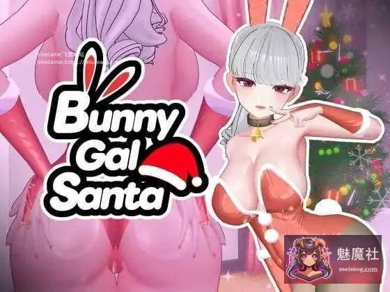 兔女郎辣妹圣诞老人 BunnyGalSanta [v1.01 生肉+动态] [PC] [3D/动态] [522m/百度云/FM]
