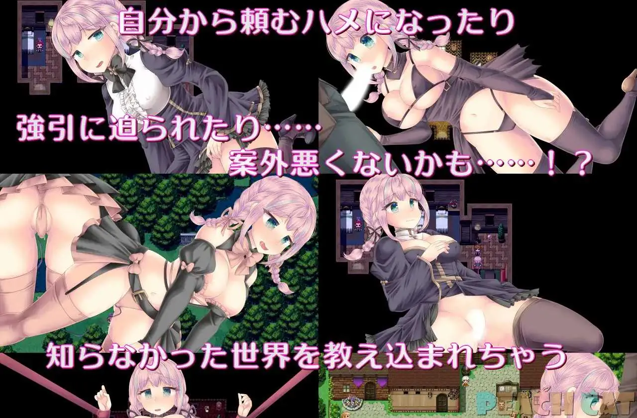 《連続絶頂 Sister Maiden／连续高潮 Sister Maiden》游戏资料封面