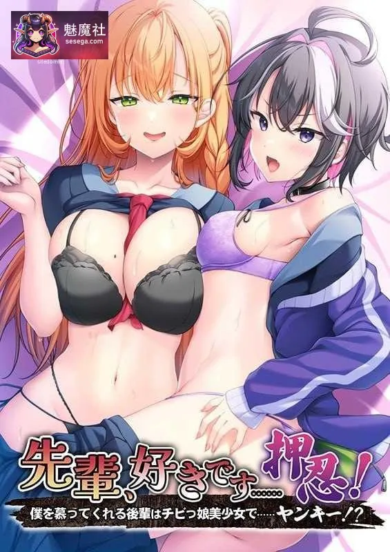 仰慕你的后辈是个矮个子美少女，却是个不良少女（ヤンキー）[AI汉化+存档版] [PC] [ADV/动态H/汉化] [603M/百度云/FM]