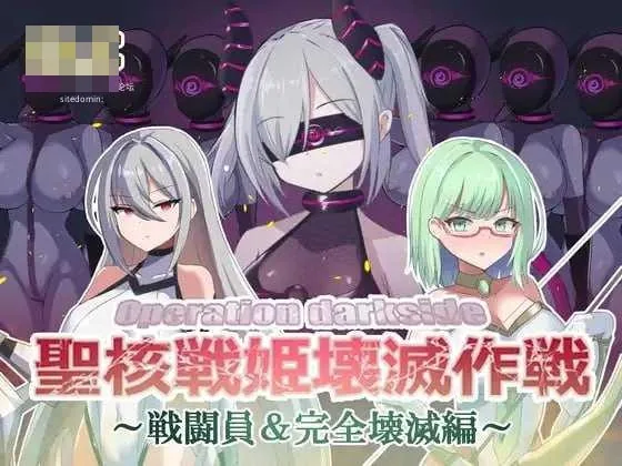 圣核战姫 DX :聖核戦姫壊滅作戦 ～戦闘員完全壊滅編～ [官中+无码+动态+DLC版] [PC]  [3.38G/百度云/FM]