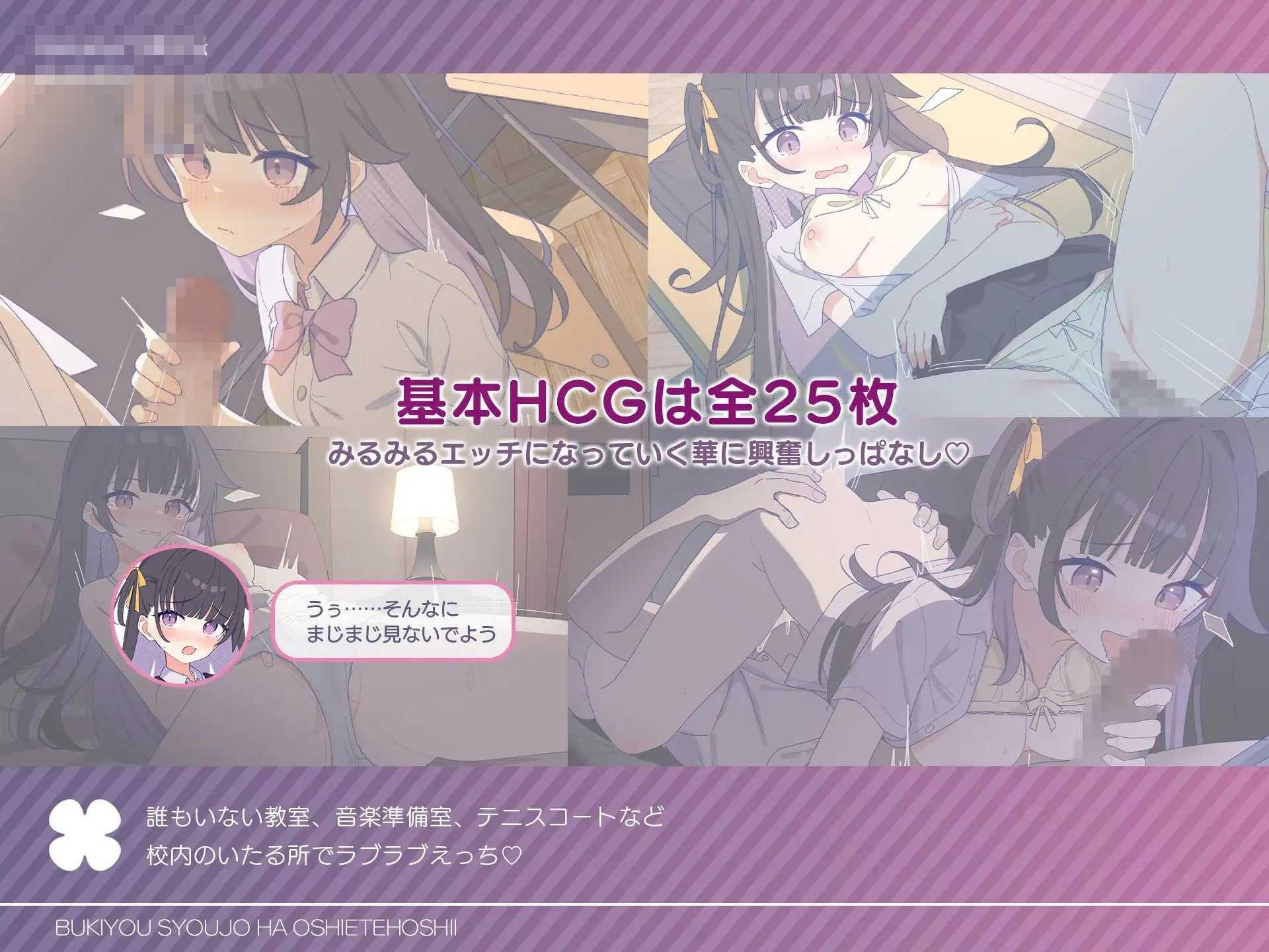 手笨少女求你来教 【汉化】【586m】【pc】【百度云/FM】【SLG】