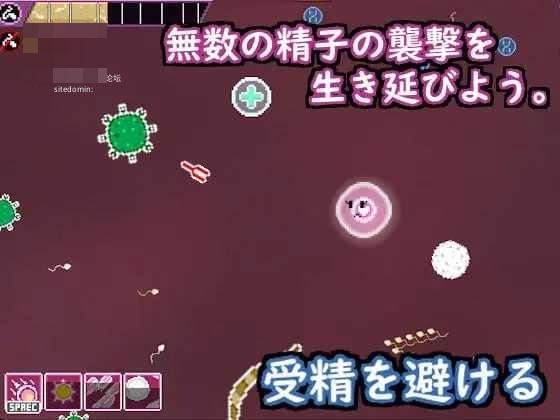 卵细胞求生:为不孕发愁的夫妻与寝取疗法 【官中+动态】【90.6m】【PC】【百度云/FM】【SLG】